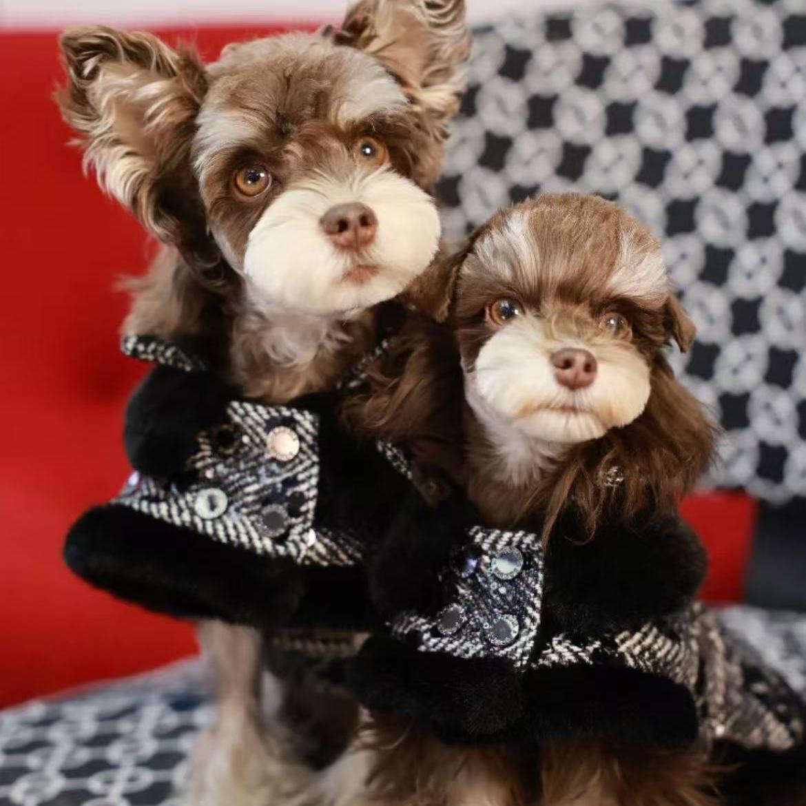 Black Houndstooth Party Dog Coat