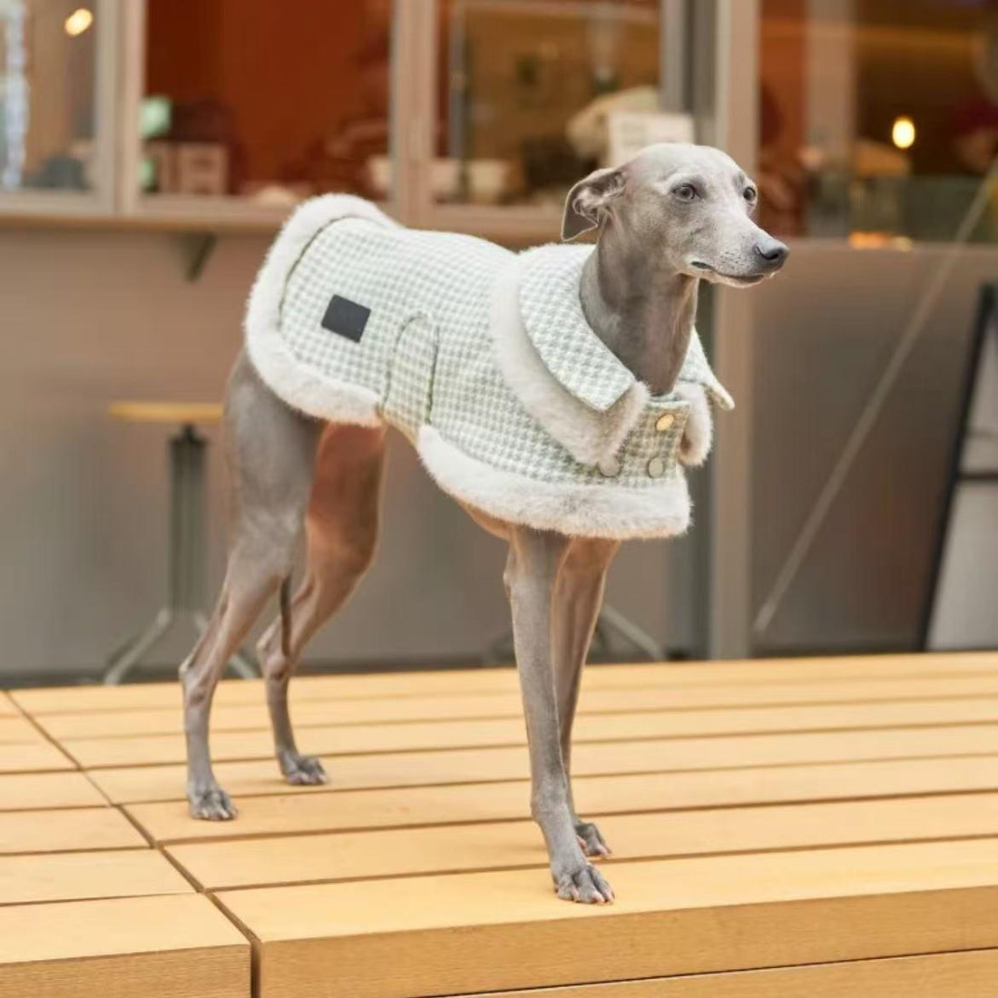Sand beige houndstooth wool dog coat with tailored fit and warm lining