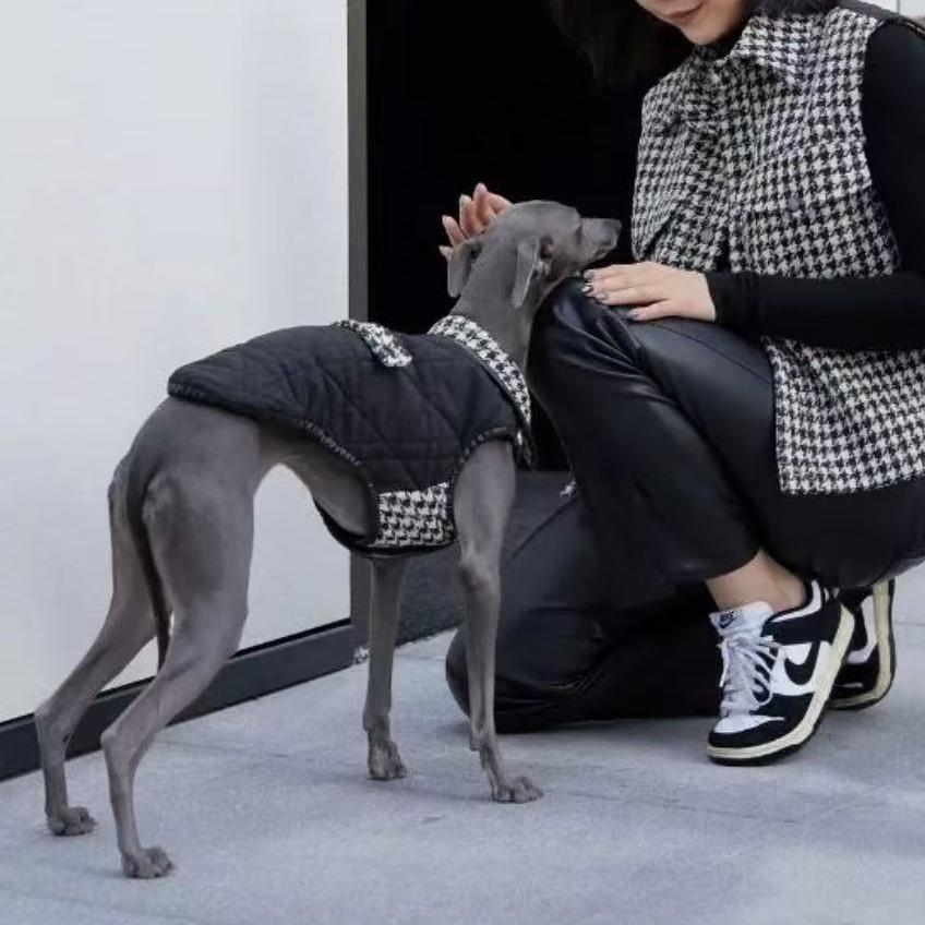 Soho Houndstooth Dog Vest