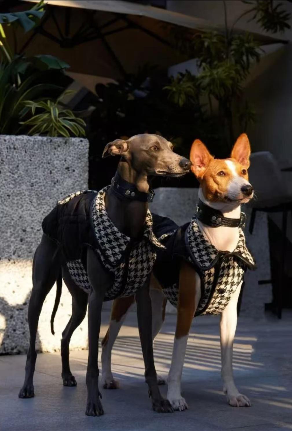 Black and white houndstooth dog vest with classic pattern