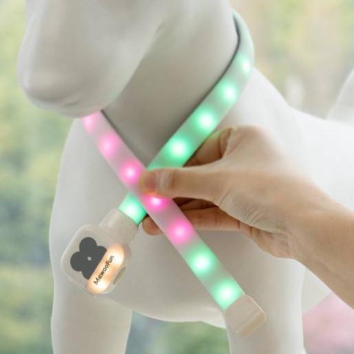 Rechargeable LED Pet Collar for Night Safety