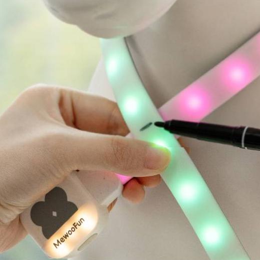 Rechargeable LED Pet Collar for Night Safety