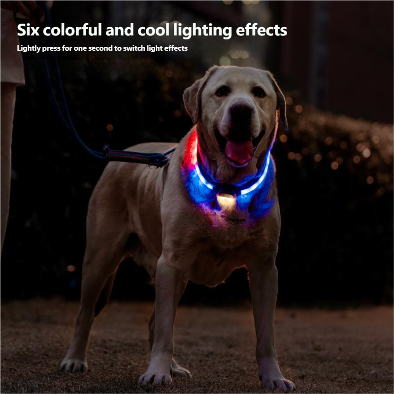 Rechargeable LED Pet Collar for Night Safety