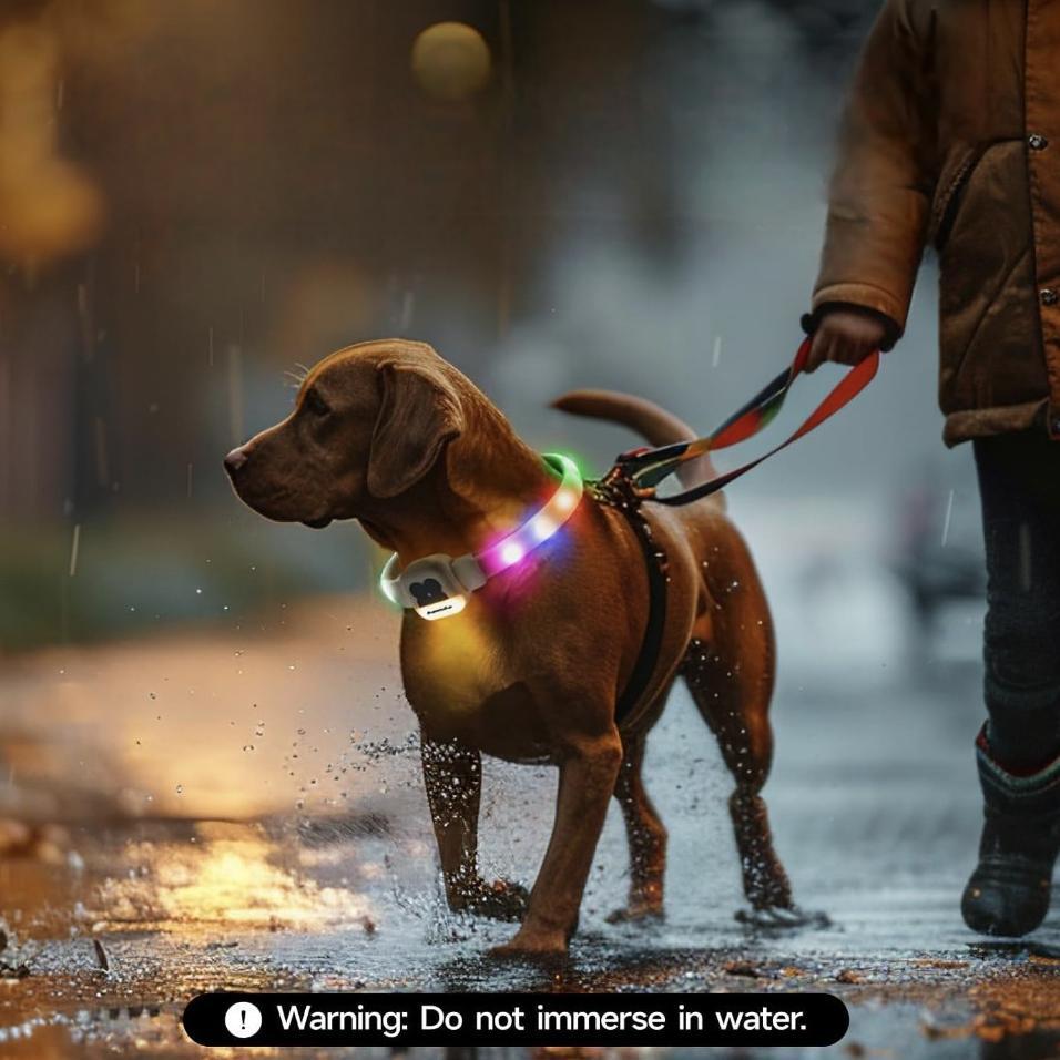 Rechargeable LED Pet Collar for Night Safety