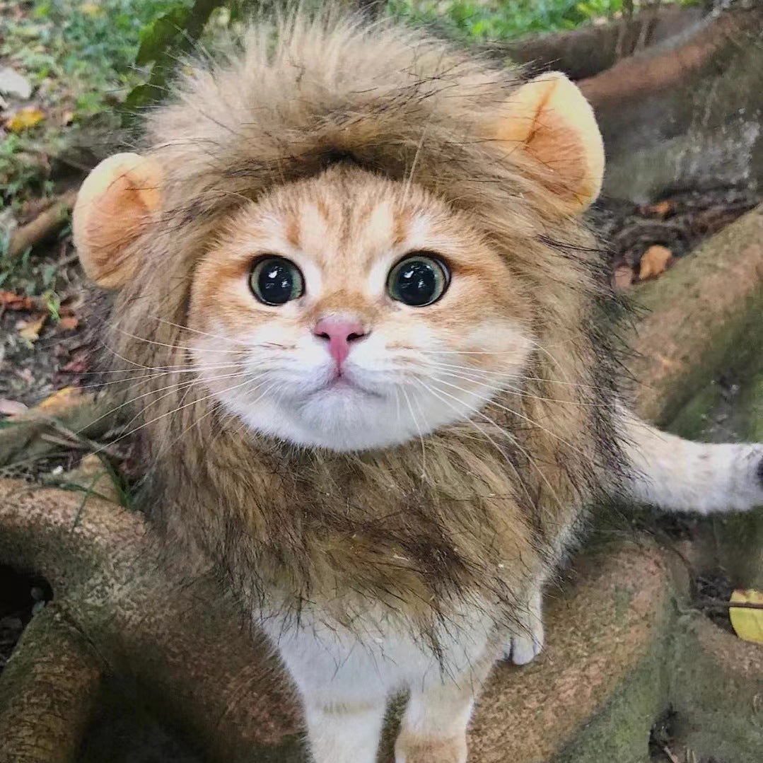 Lion Mane Pet Hat for Cats & Small Dogs