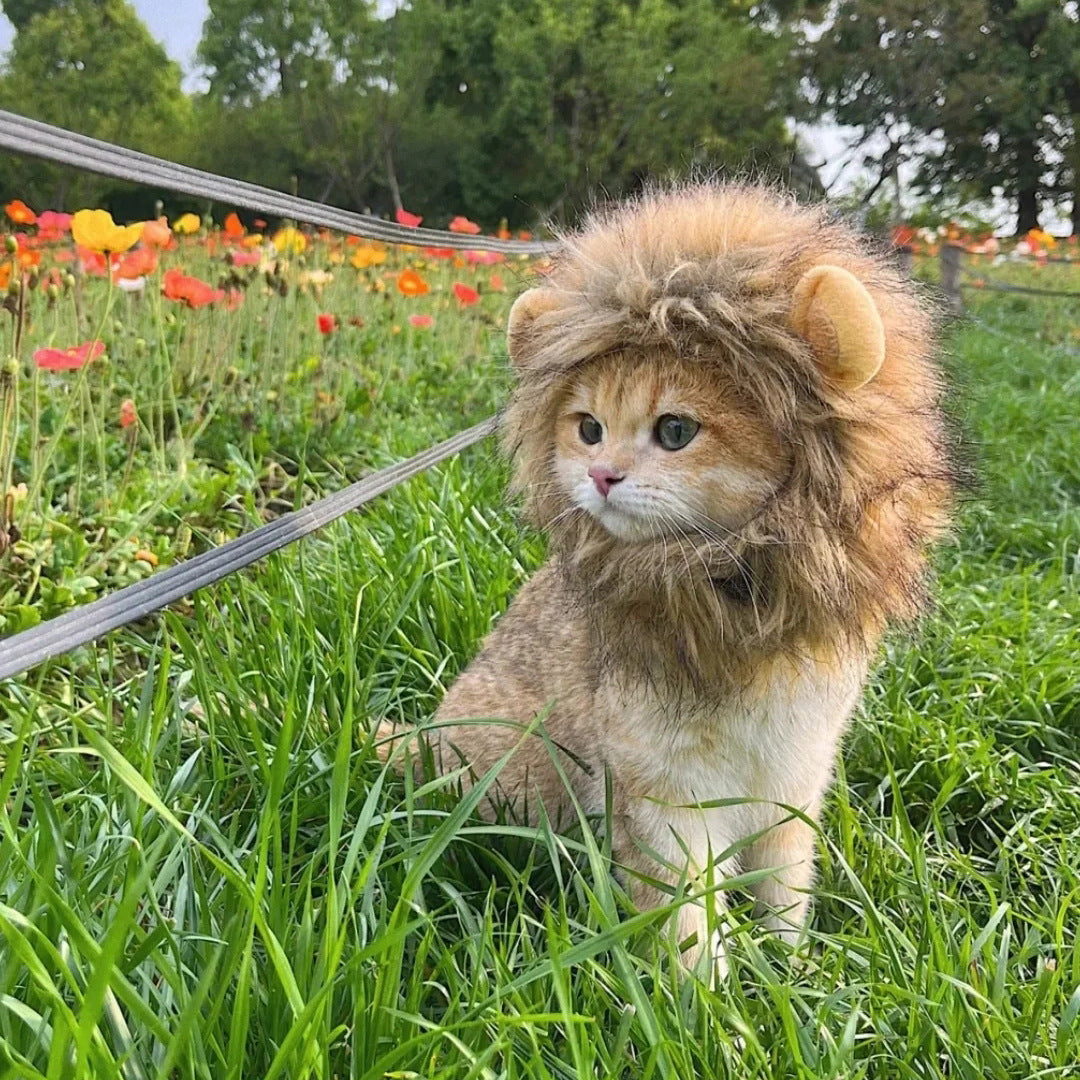 Lion Mane Pet Hat for Cats & Small Dogs
