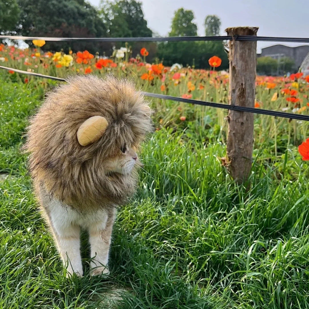 Lion Mane Pet Hat for Cats & Small Dogs