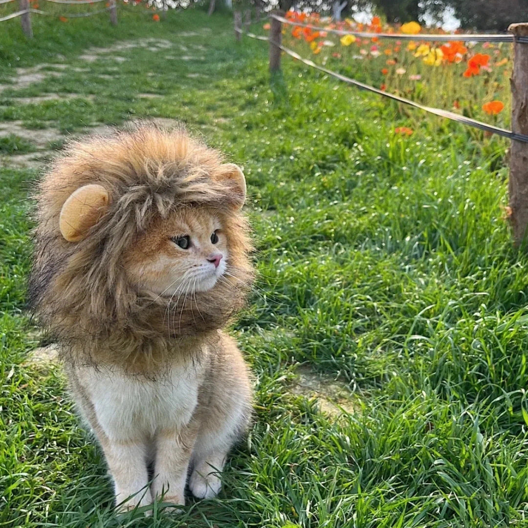 Lion Mane Pet Hat for Cats & Small Dogs