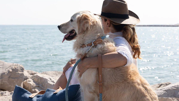 collection-banner-image