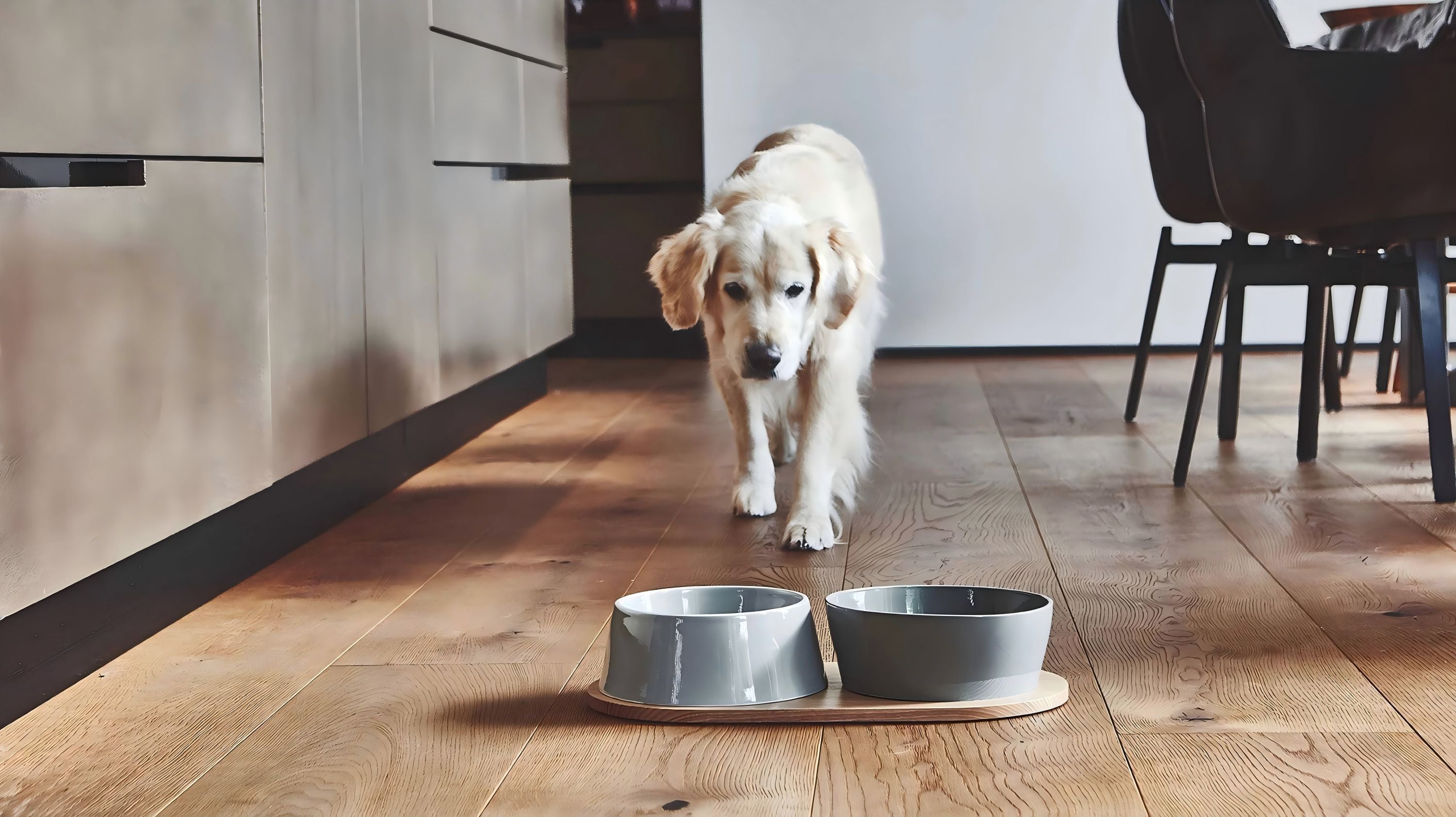 collection-banner-image