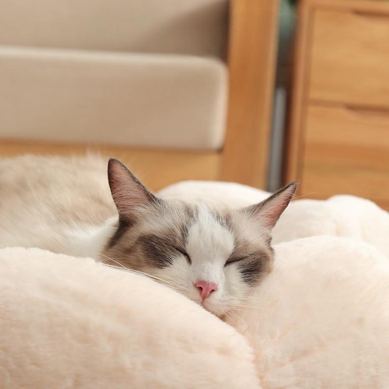 Plush Flower Pet Bed