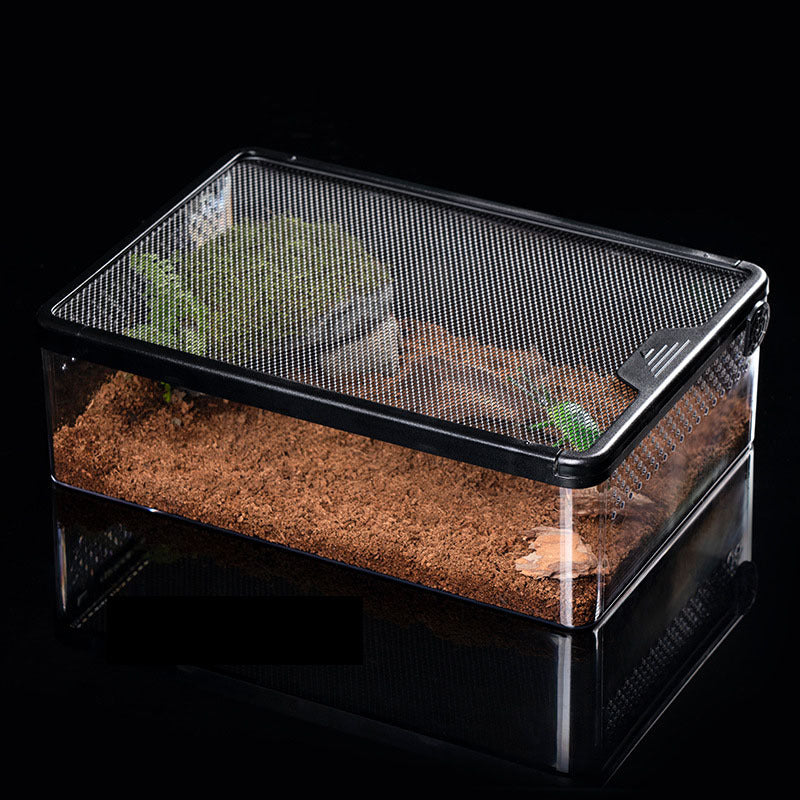 Transparent Reptile Enclosure – Small (Anti‑Escape Lid)