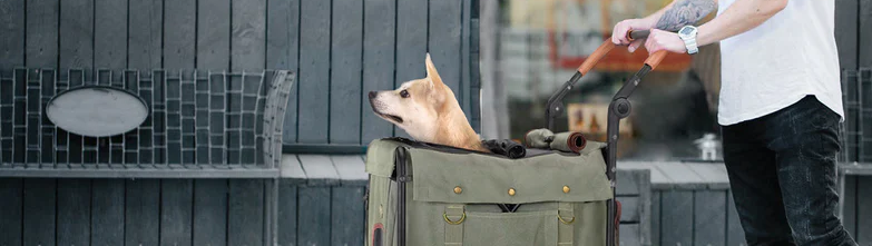 collection-banner-image