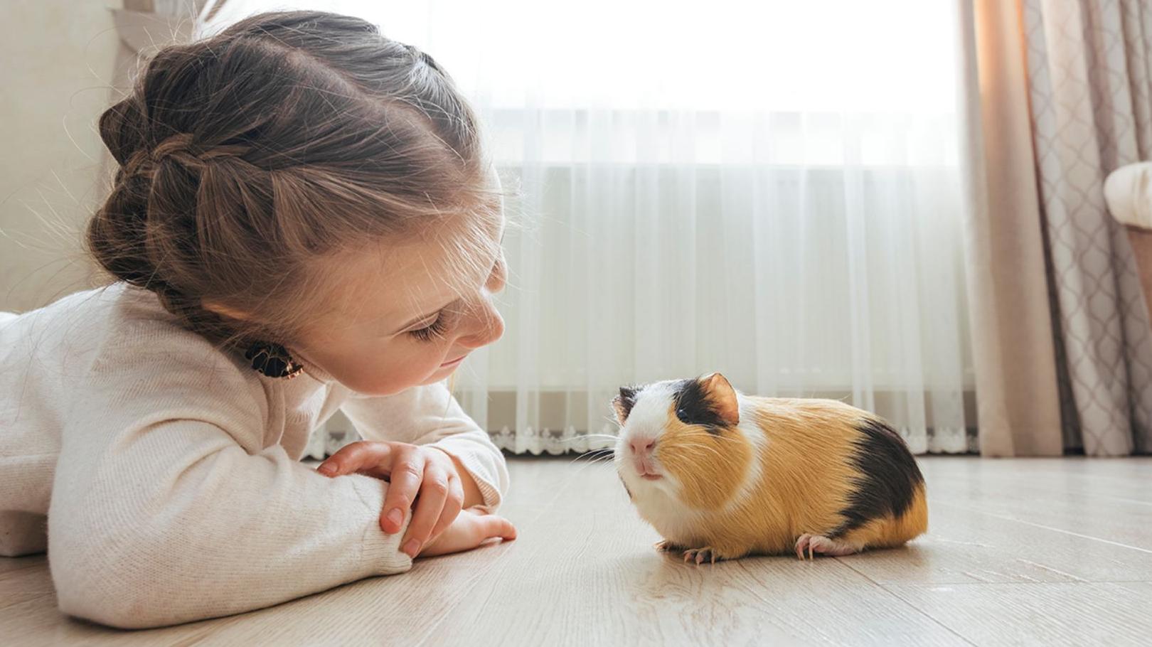 collection-banner-image