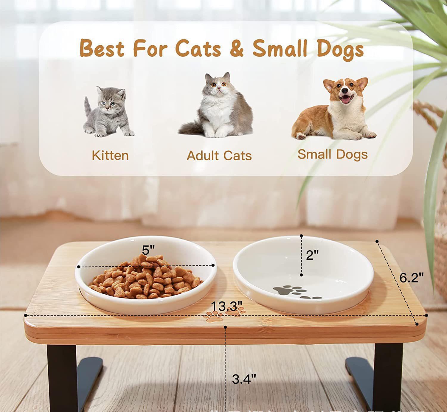 Tilted Bamboo Double Pet Bowl