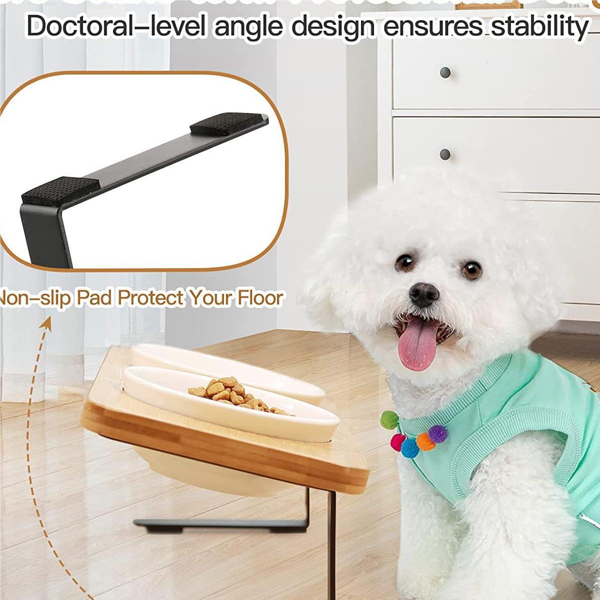 Tilted Bamboo Double Pet Bowl