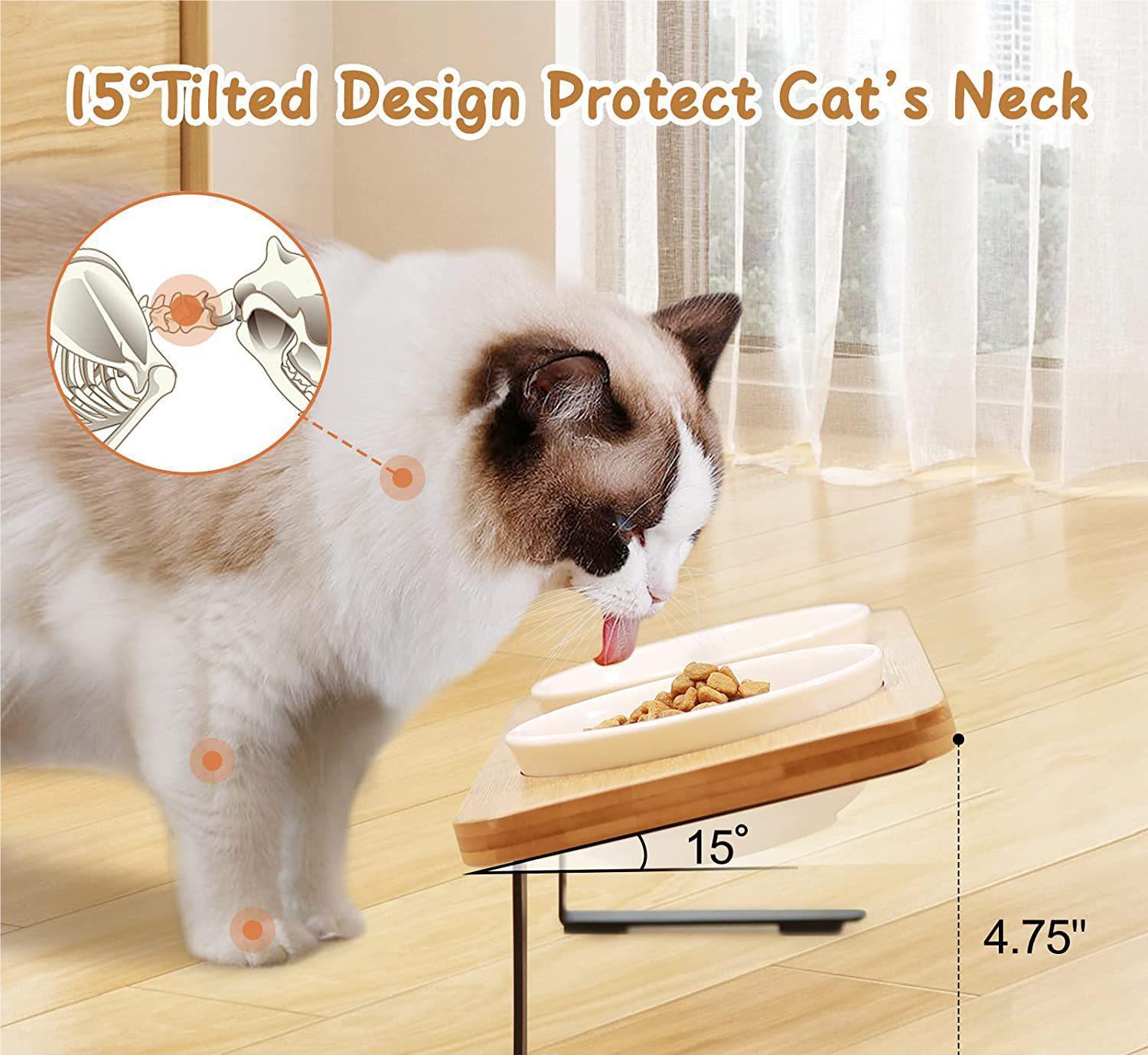 Tilted Bamboo Double Pet Bowl