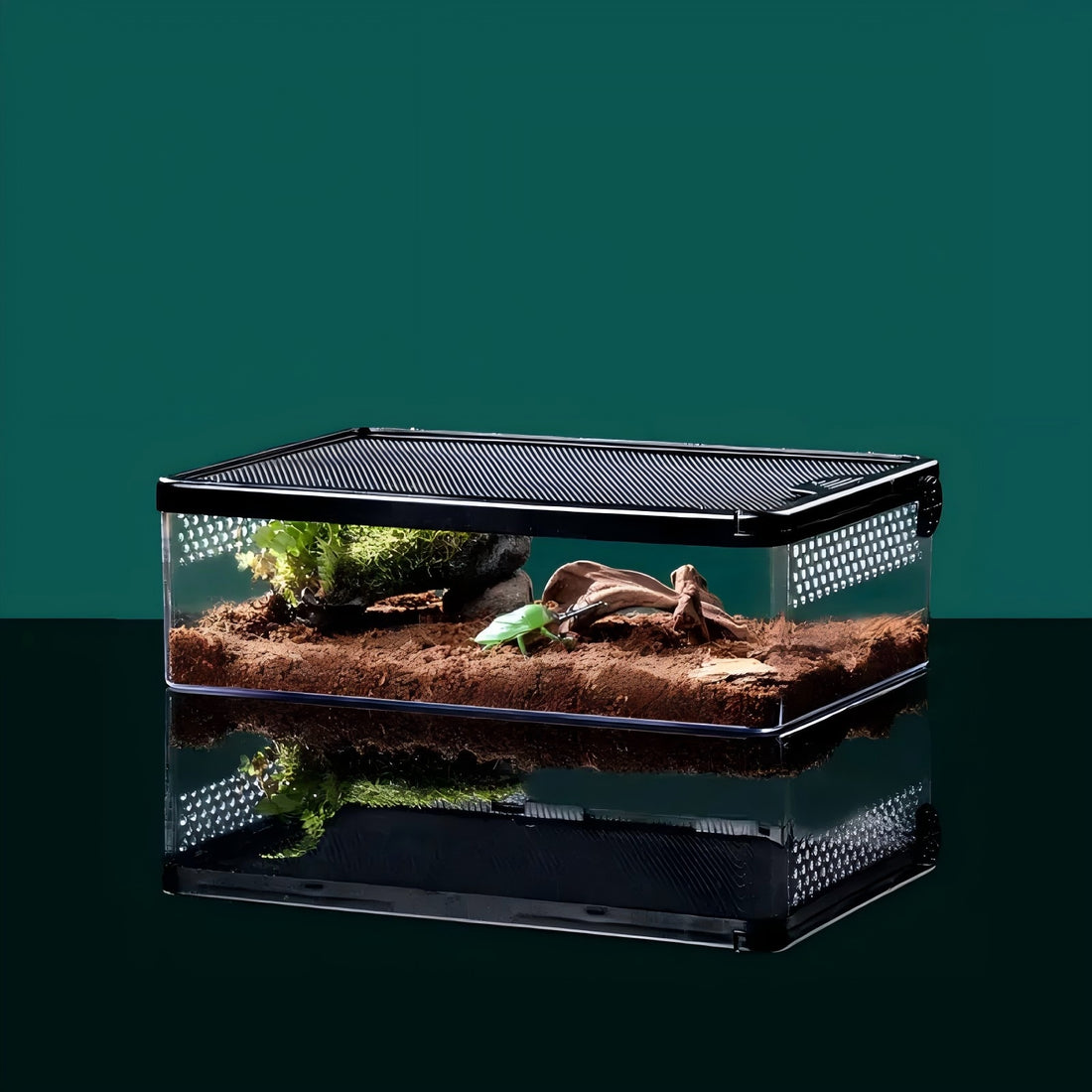 Transparent PC reptile terrarium with black frame and anti-escape lid